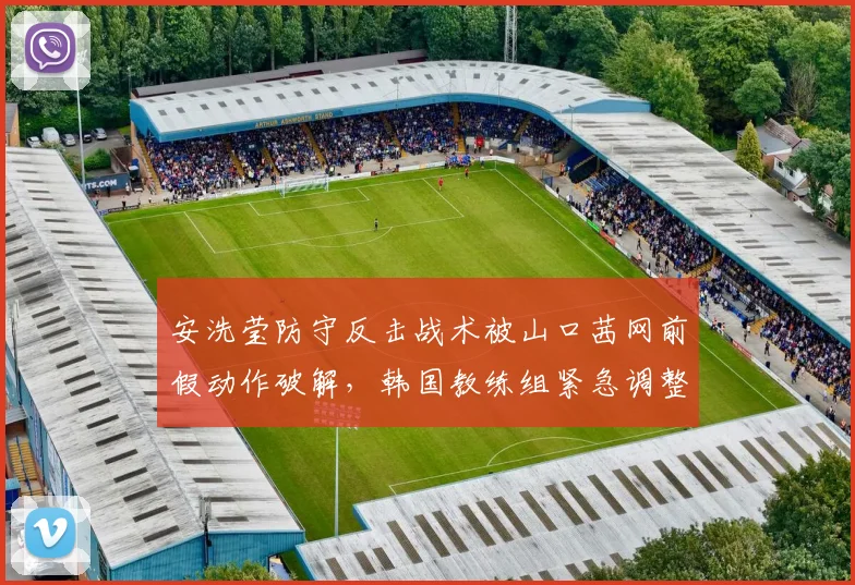 安洗莹防守反击战术被山口茜网前假动作破解,韩国教练组紧急调整训练方案